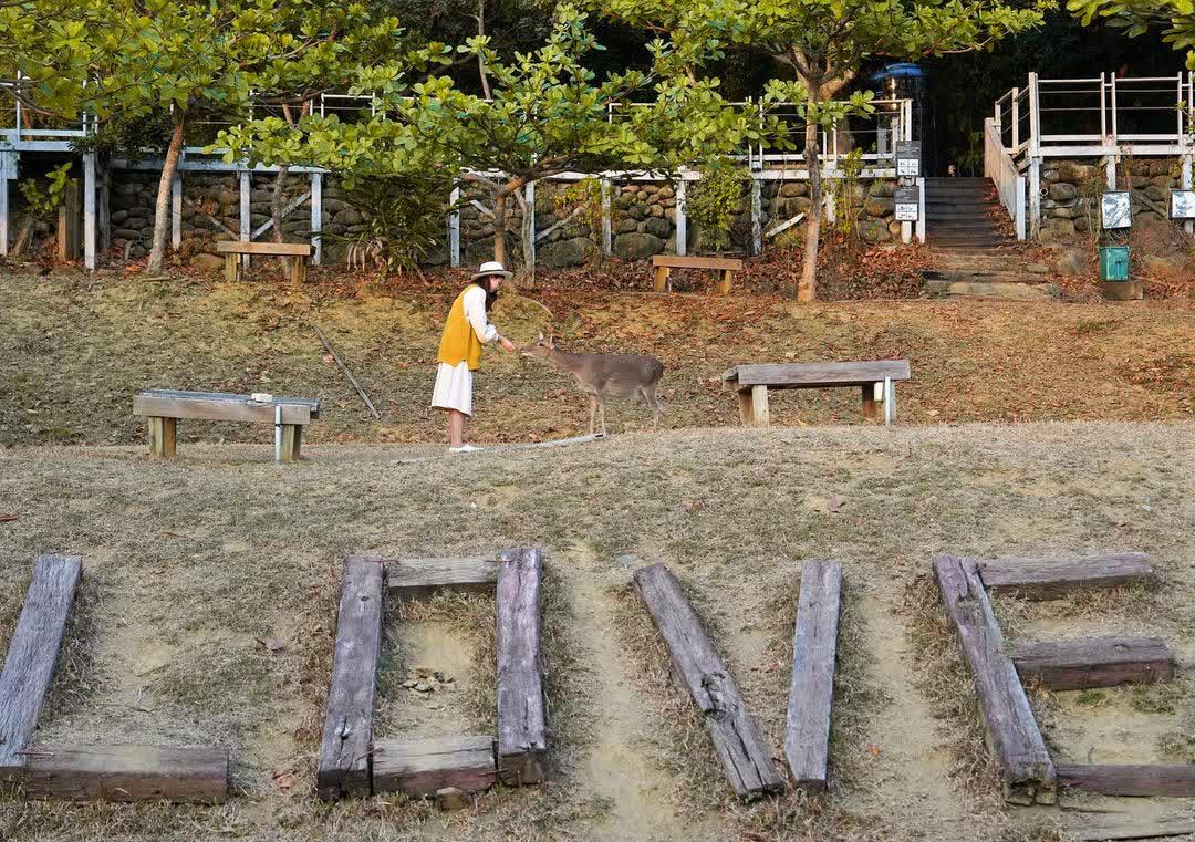 阿信巧克力農場 | 去趣 chicTrip