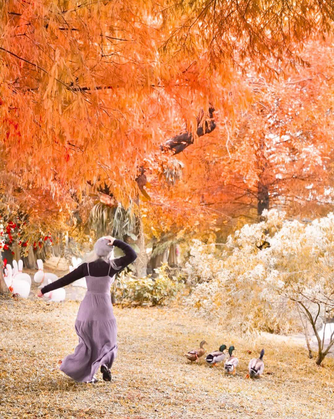 成美文化園 | 去趣 chicTrip