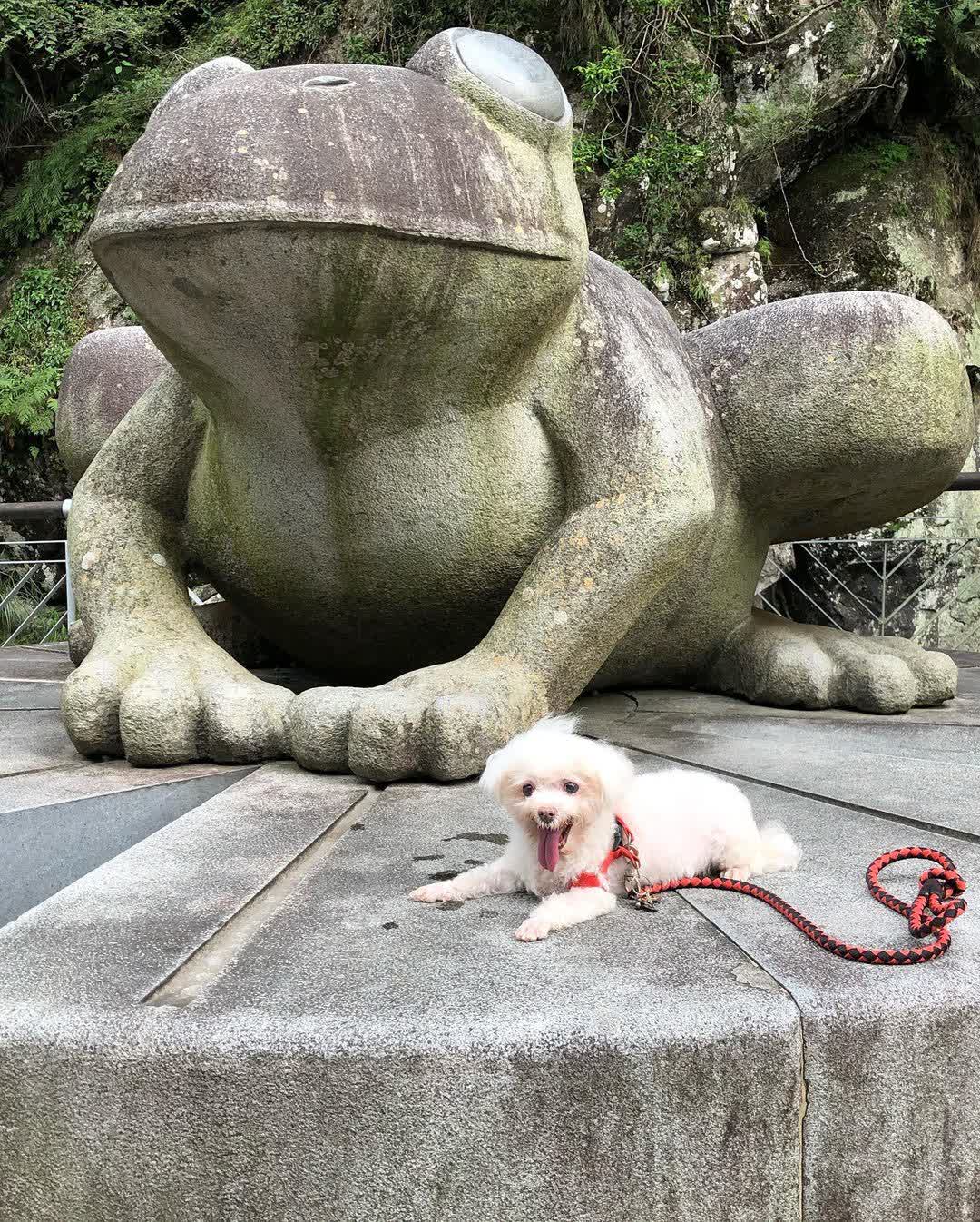 青蛙石天空步道 | 去趣 chicTrip