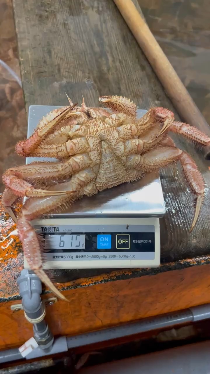 Kanio | 去趣 chicTrip