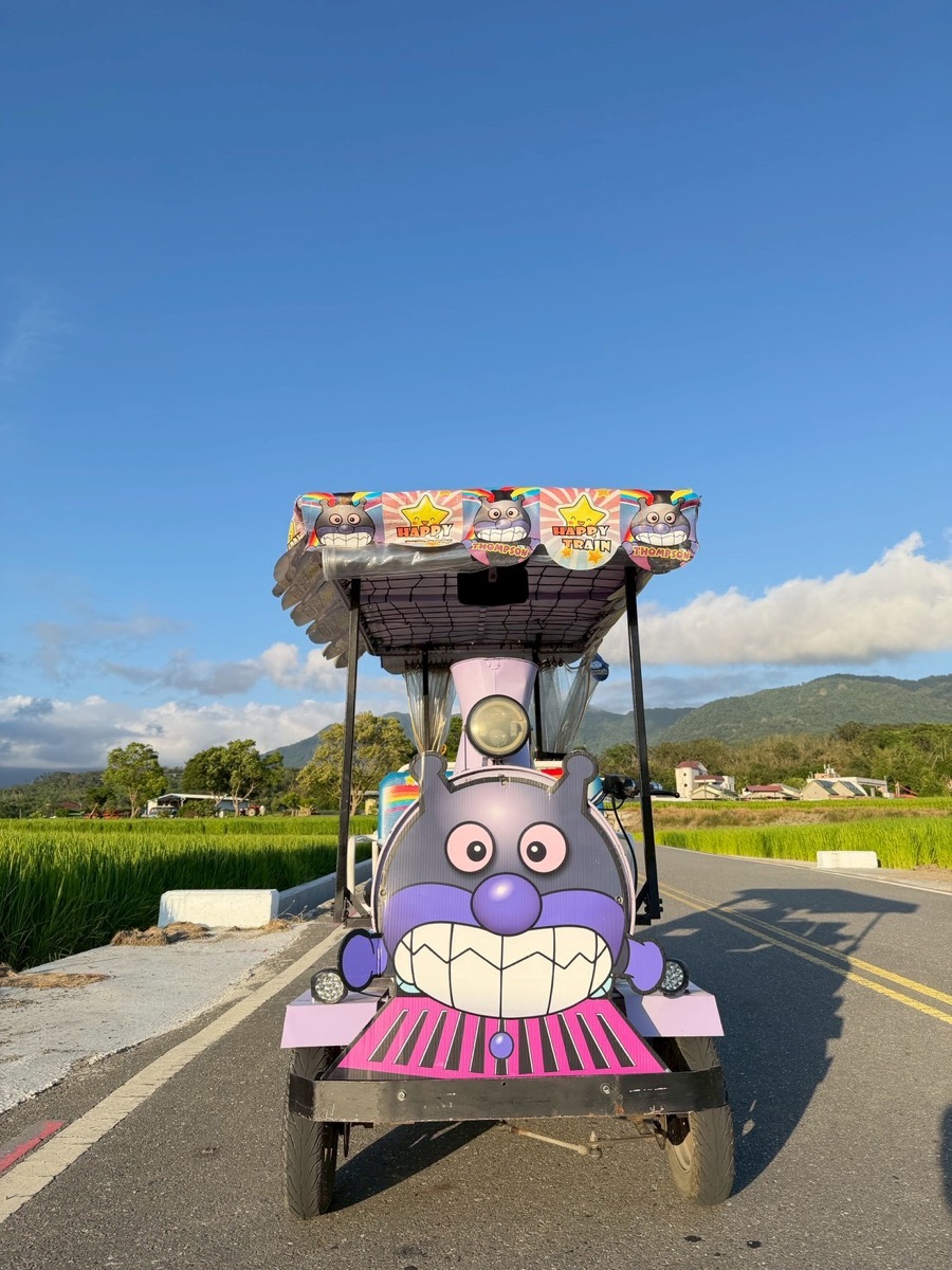 臺東池上錦新三號道路 伯朗大道 | 去趣 chicTrip