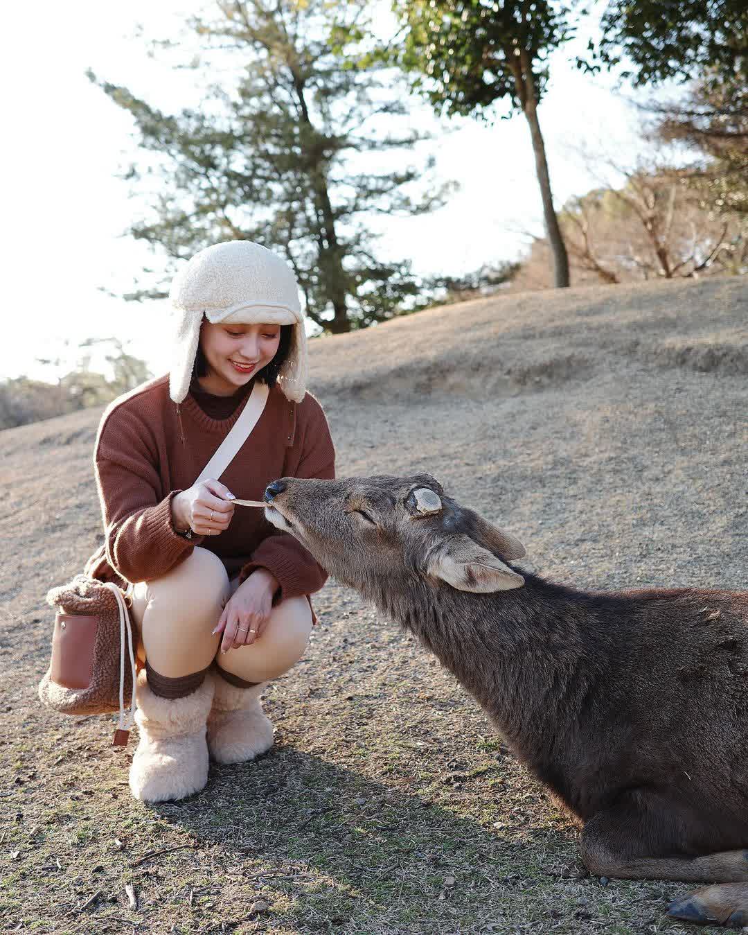 奈良公園 | 去趣 chicTrip
