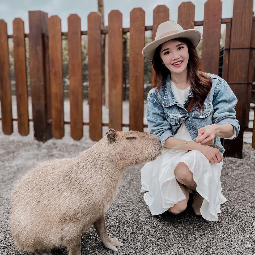 張美阿嬤農場（月森甯手作工坊） | 去趣 chicTrip