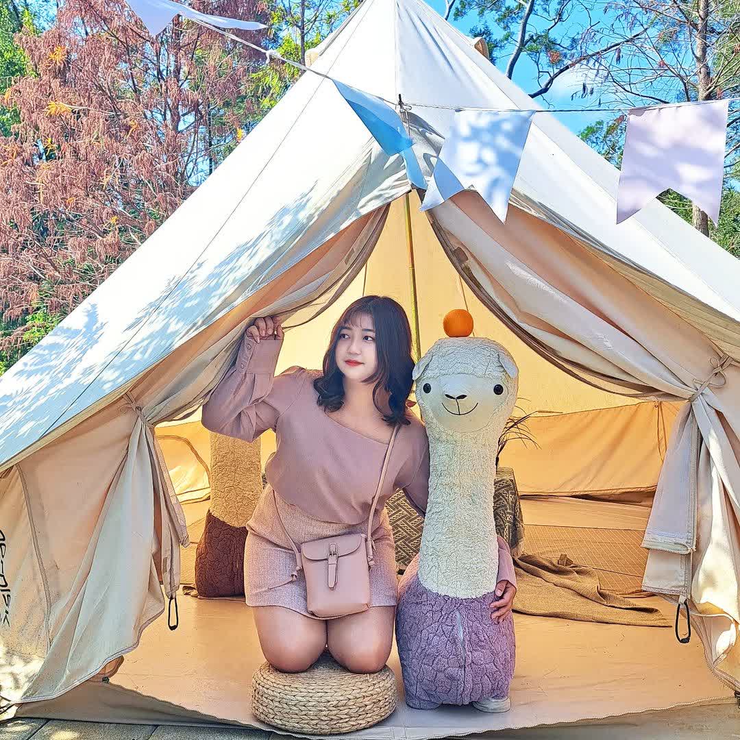 橙香森林 | 去趣 chicTrip