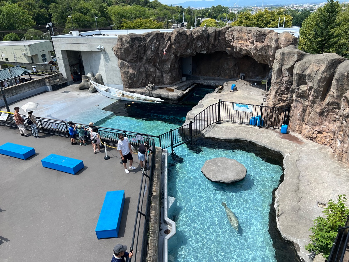 旭山動物園 | 去趣 chicTrip