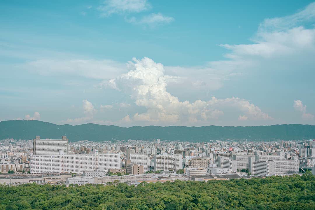 大阪城公園 | 去趣 chicTrip