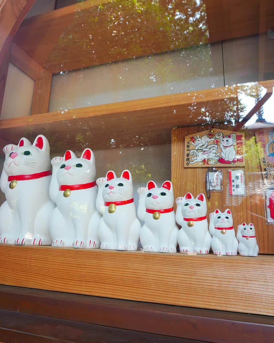 世田谷 豪德寺 | 去趣 chicTrip