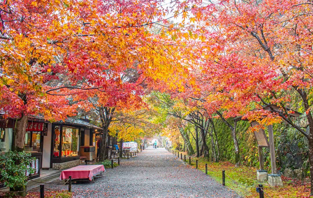 三千院 | 去趣 chicTrip