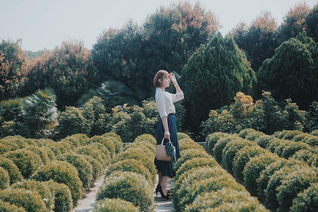 彰化田尾波波草 | 去趣 chicTrip