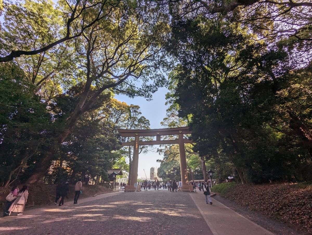 明治神宮 | 去趣 chicTrip