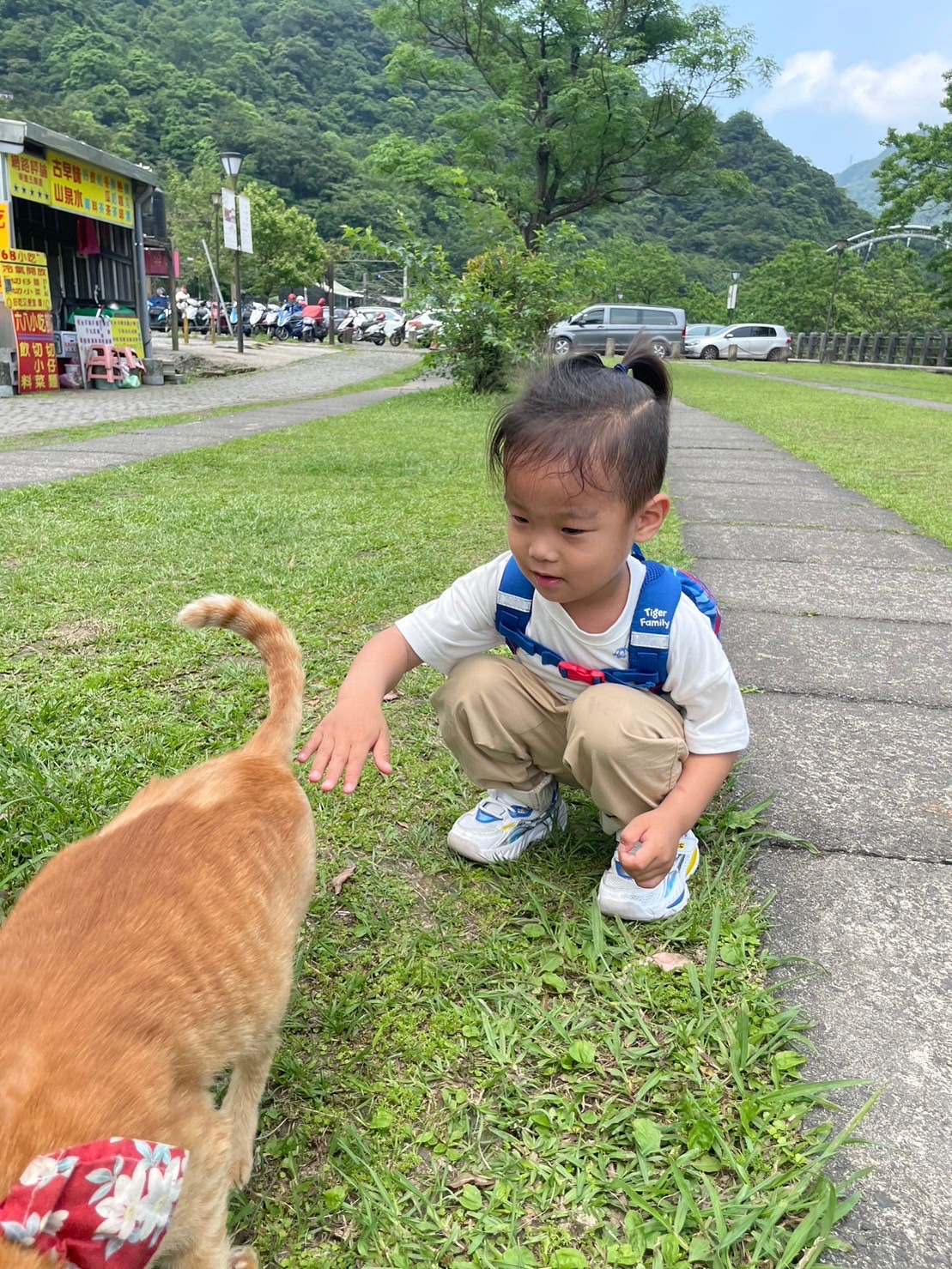 猴硐貓村 | 去趣 chicTrip