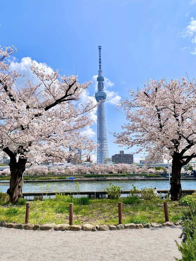 隅田公園 (淺草側) | 去趣 chicTrip