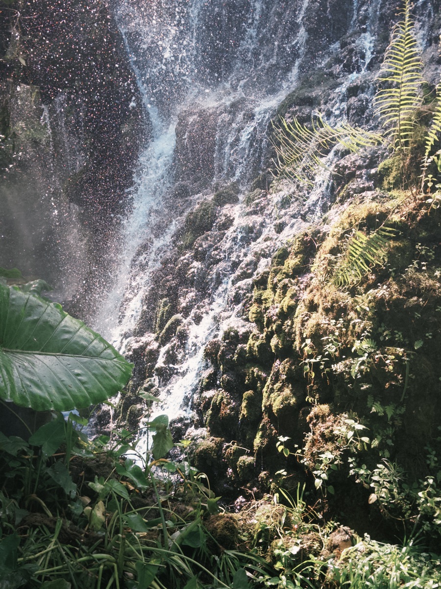 Dan Tewada Land of Angels Waterfall Park | 去趣 chicTrip