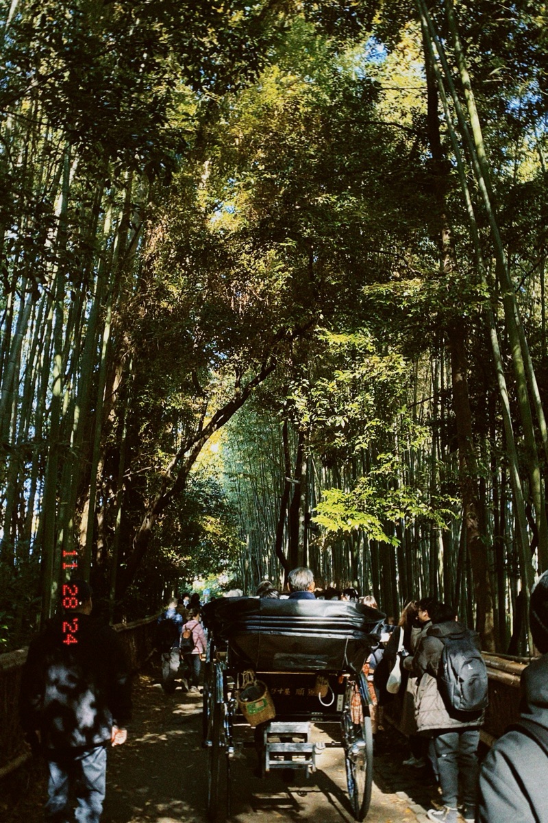 嵐山竹林小徑 | 去趣 chicTrip