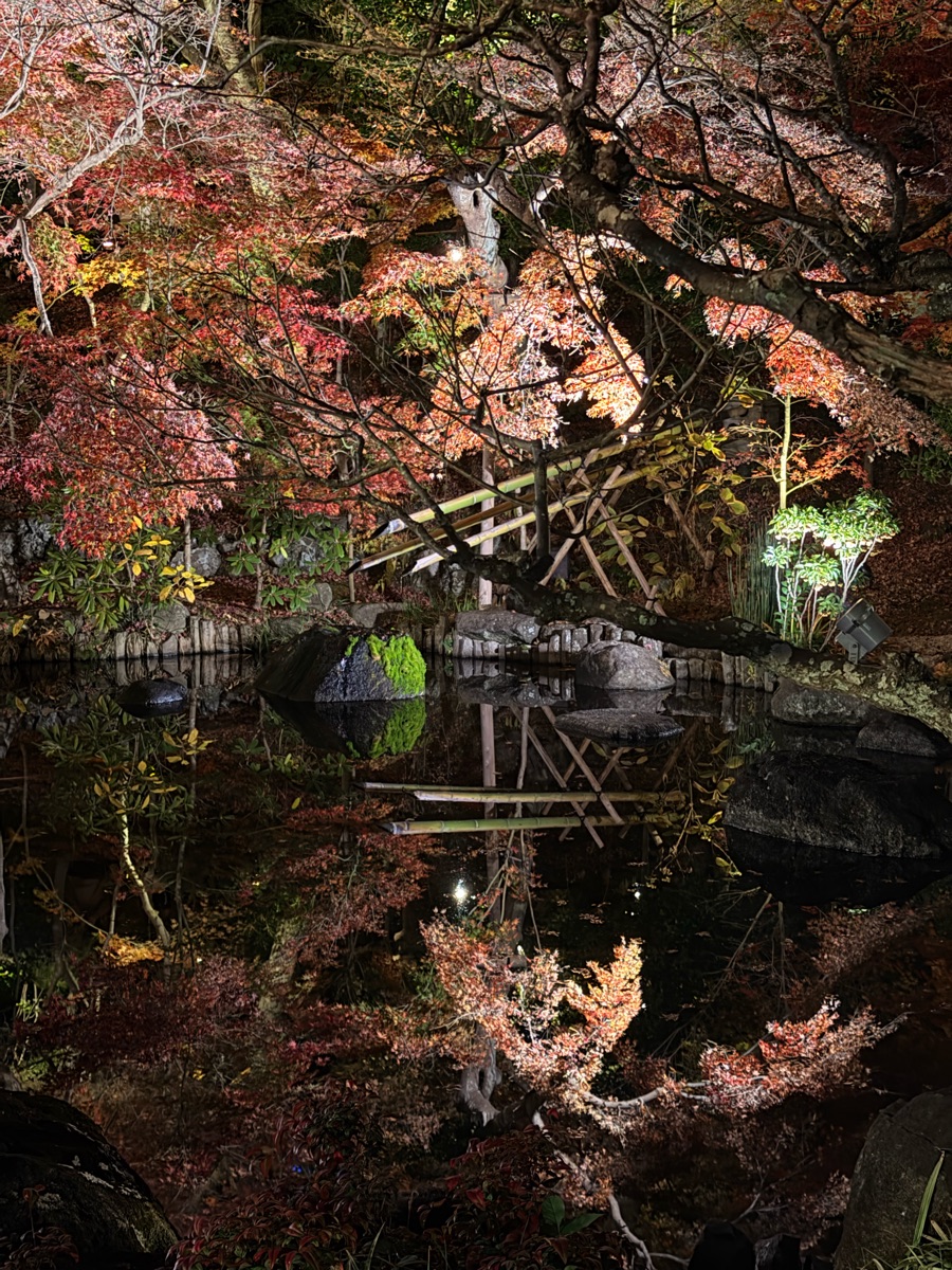 Hasedera | 去趣 chicTrip