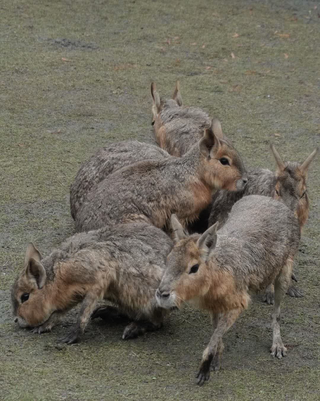 張美阿嬤農場（月森甯手作工坊） | 去趣 chicTrip