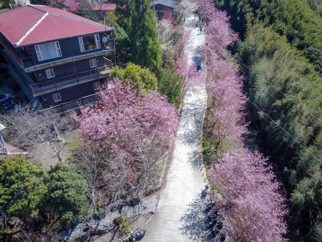 司馬庫斯 | 去趣 chicTrip