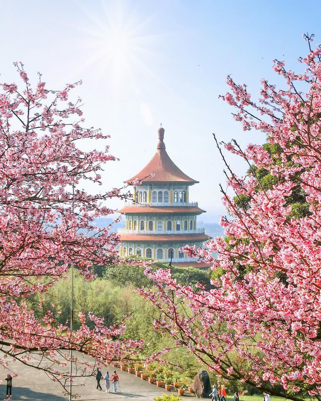 無極天元宮 | 去趣 chicTrip