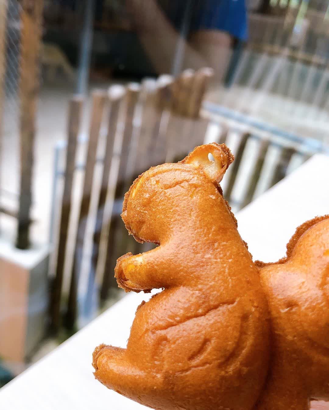 新竹市立動物園 | 去趣 chicTrip