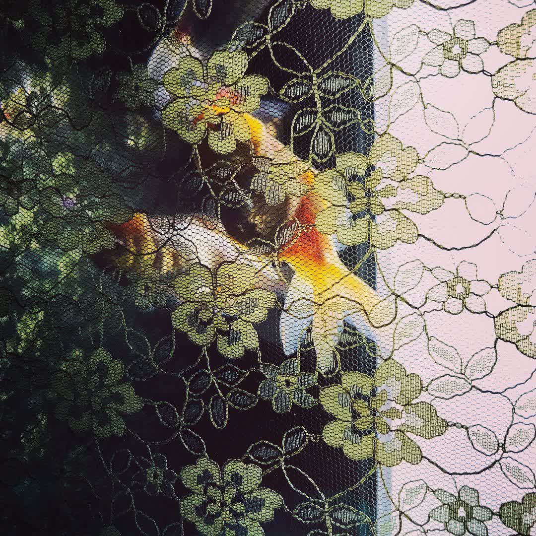 ART AQUARIUM MUSEUM 銀座金魚美術館 | 去趣 chicTrip