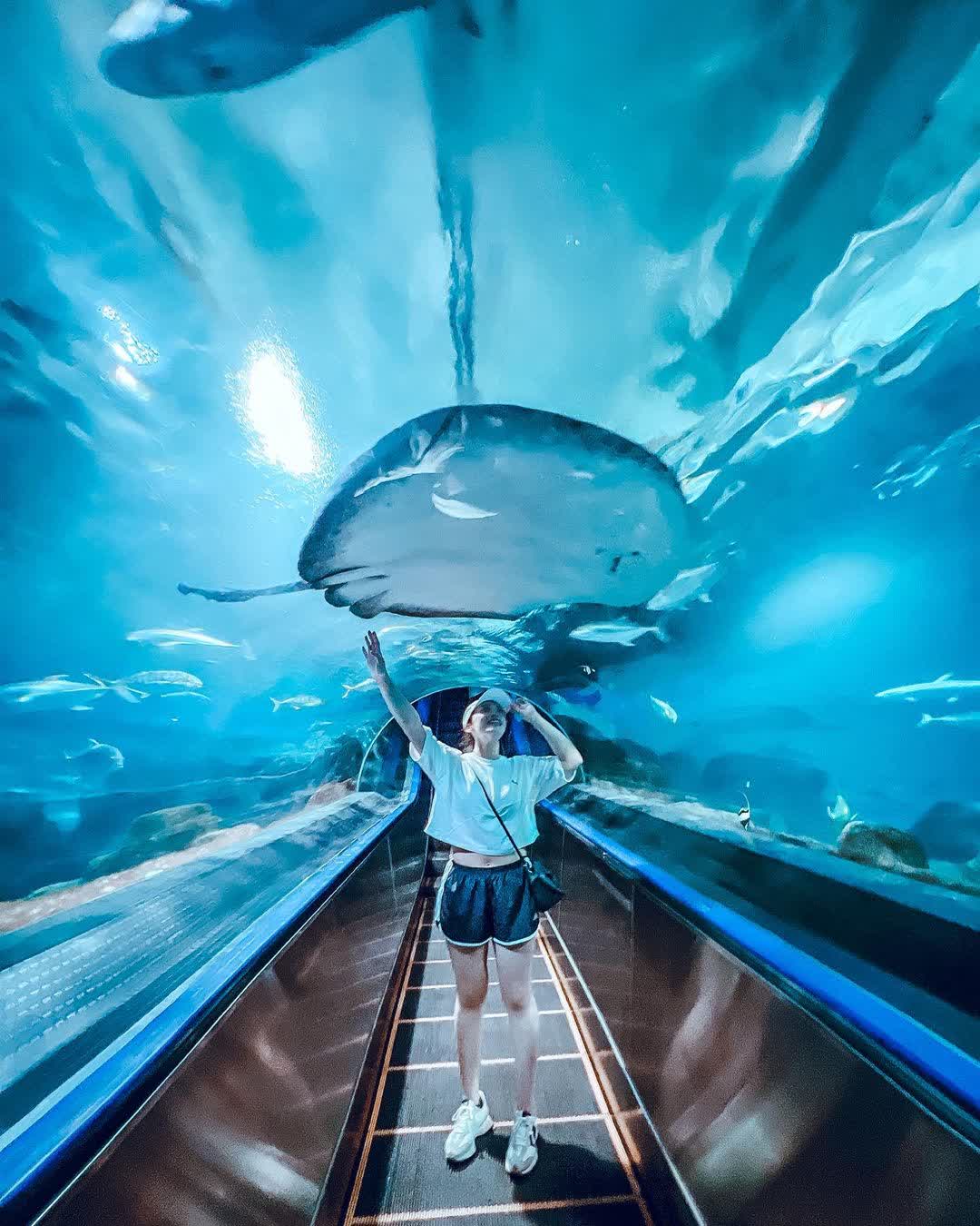 遠雄海洋公園 | 去趣 chicTrip