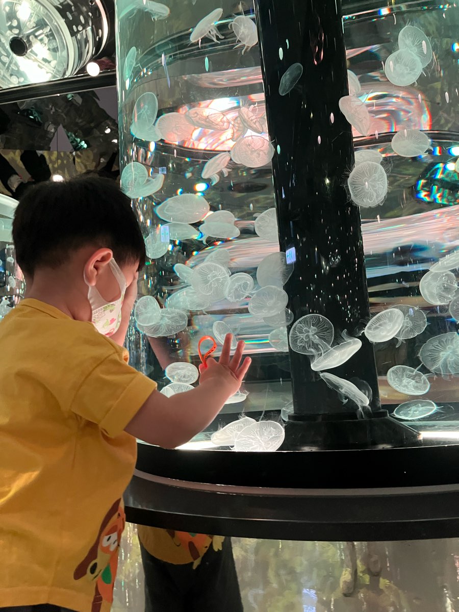 Xpark 水族館 | 去趣 chicTrip