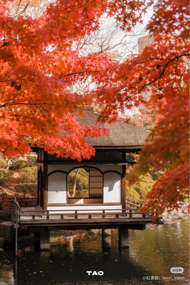 和歌山城公園 | 去趣 chicTrip