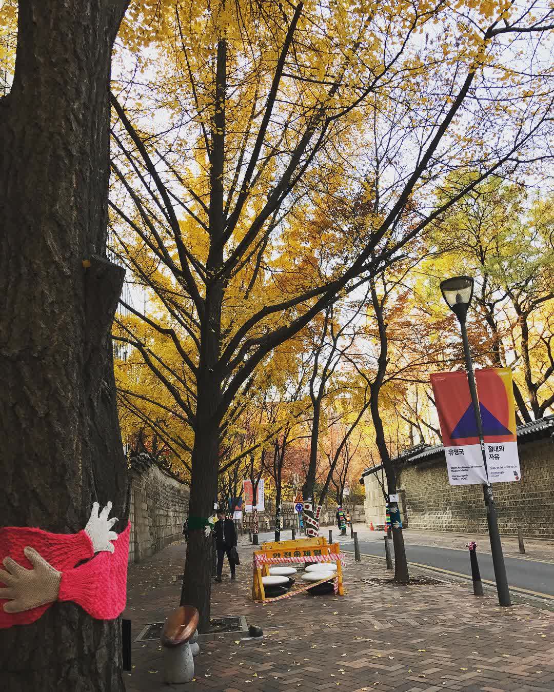 德壽宮 | 去趣 chicTrip