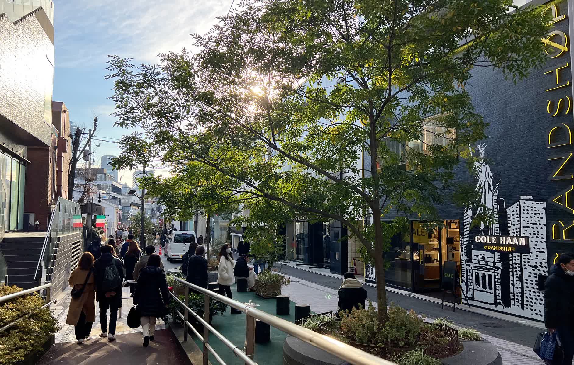 Cat St | 去趣 chicTrip