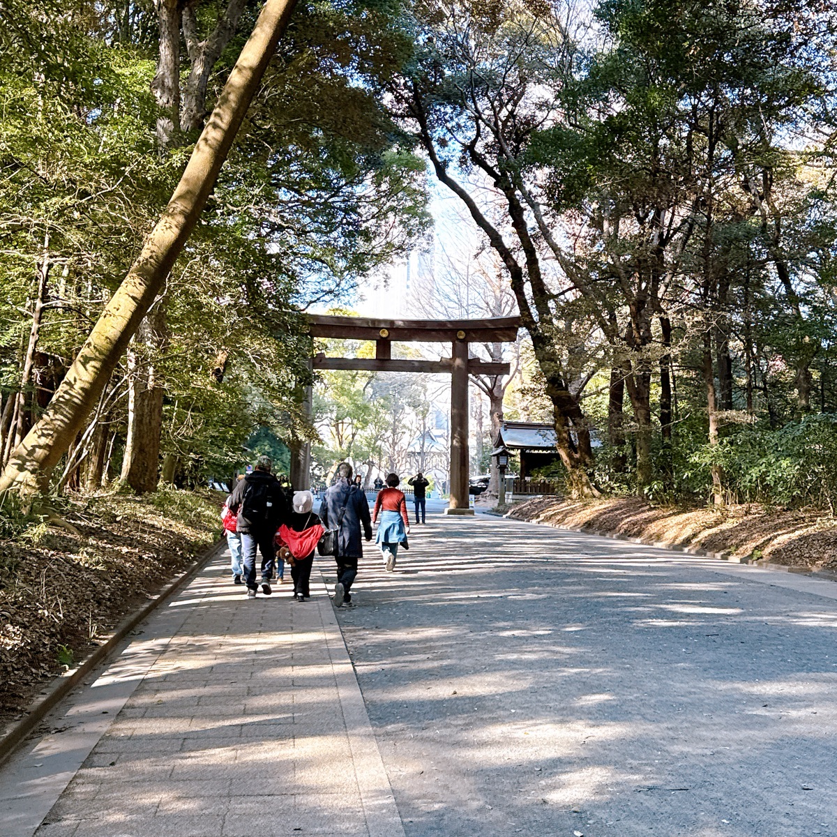 明治神宮 | 去趣 chicTrip