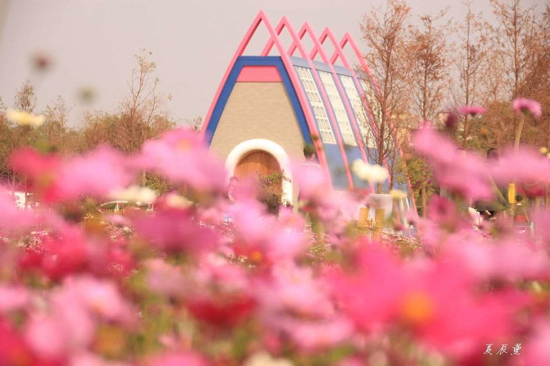 粉紅泡泡 | 去趣 chicTrip