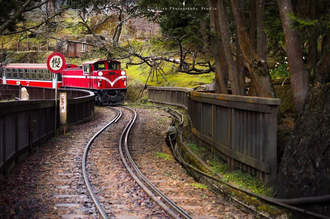 阿里山國家森林遊樂區 | 去趣 chicTrip