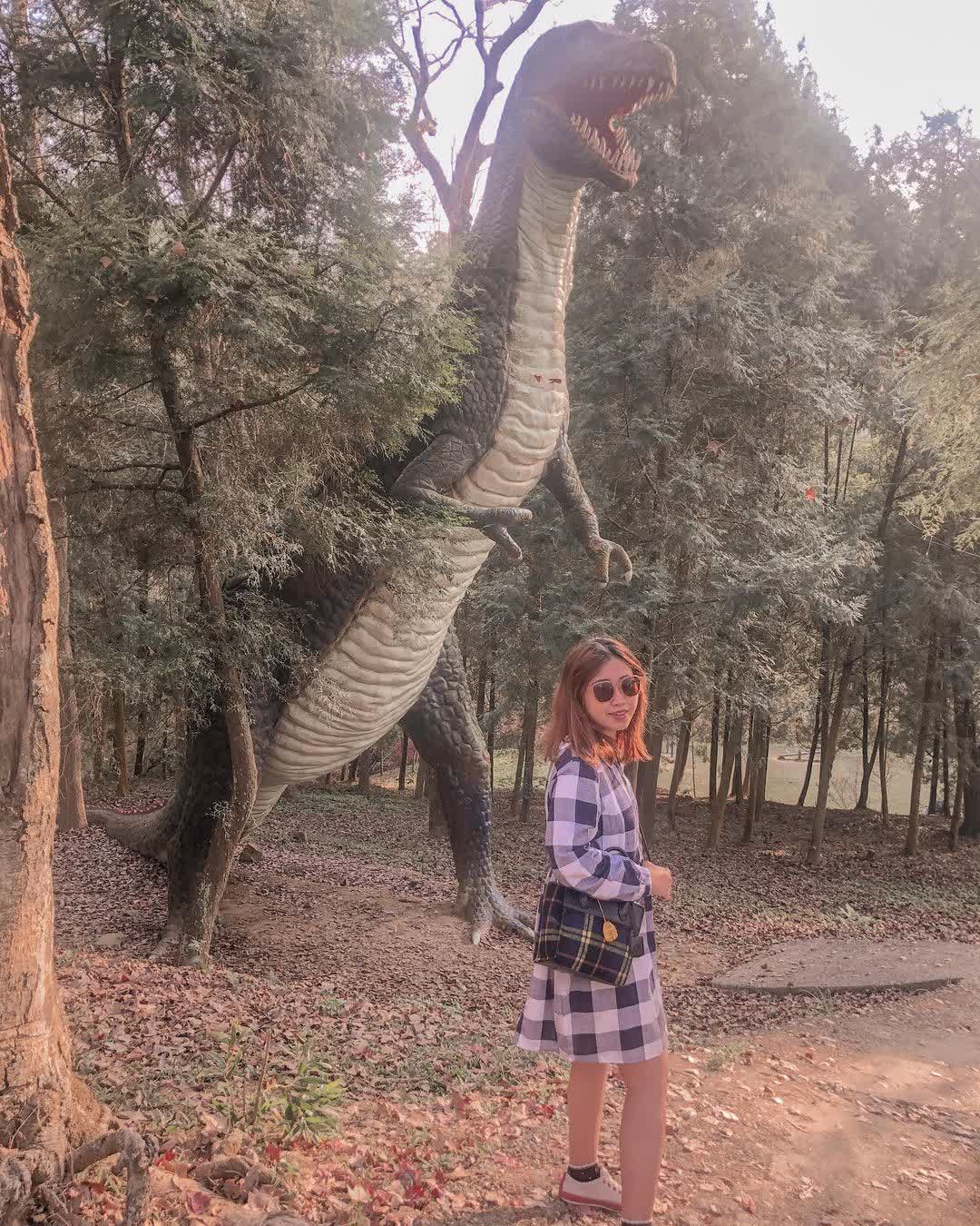 東勢林場遊樂區 | 去趣 chicTrip