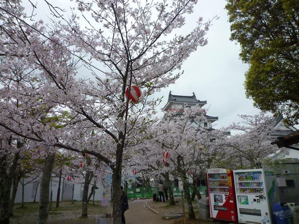 唐津城 | 去趣 chicTrip