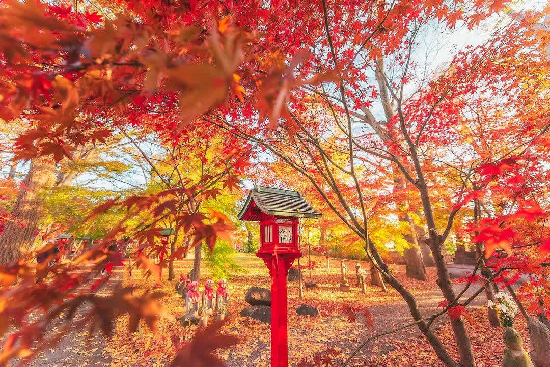 九品山 唯在念佛院 淨眞寺 | 去趣 chicTrip