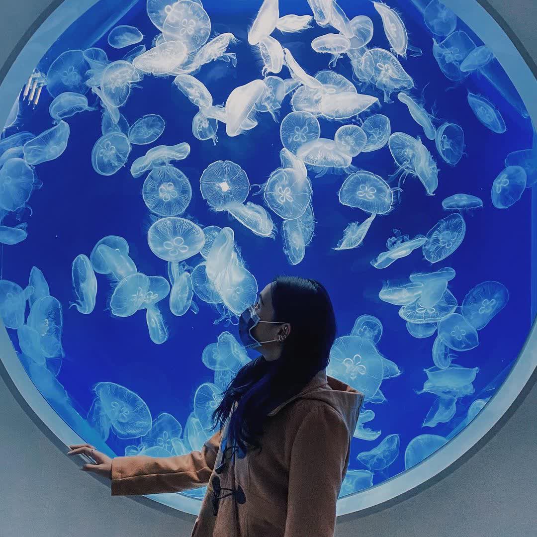Xpark 水族館 | 去趣 chicTrip