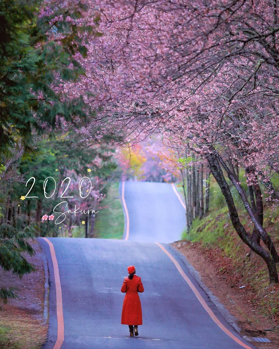 武陵農場 | 去趣 chicTrip