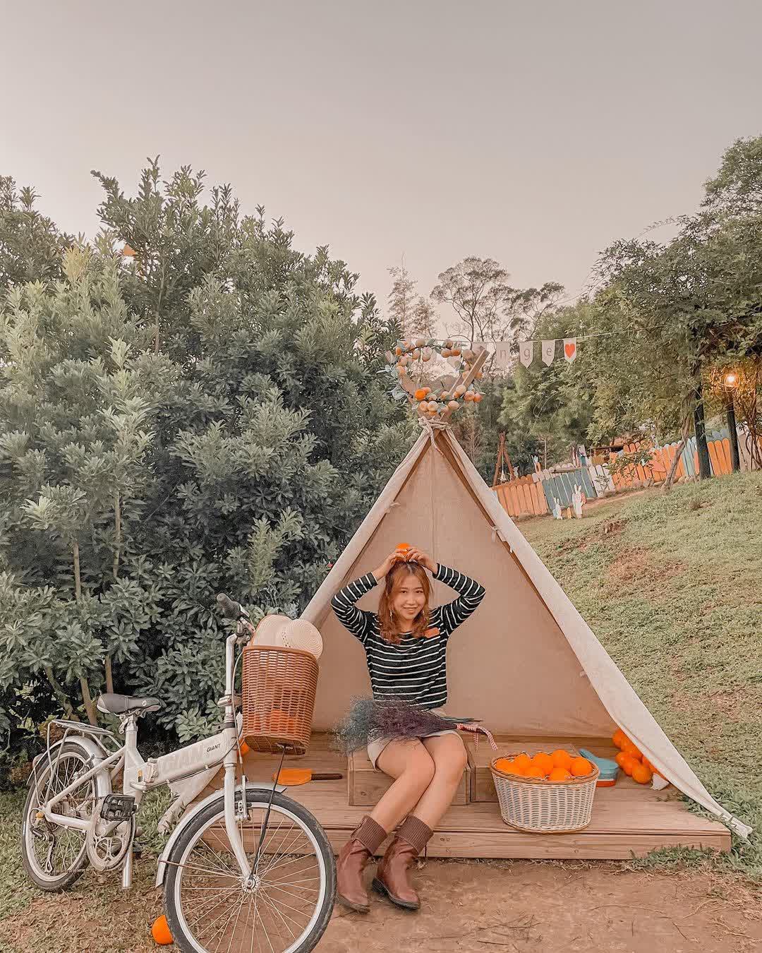 橙香森林 | 去趣 chicTrip