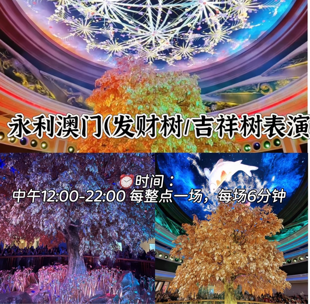 永利澳門 | 去趣 chicTrip