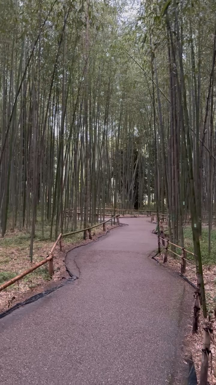 嵐山竹林小徑 | 去趣 chicTrip