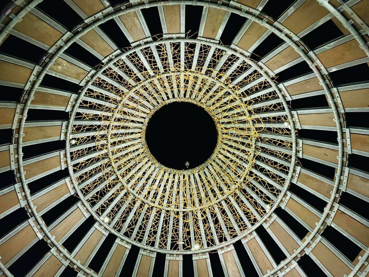 森林之歌 | 去趣 chicTrip