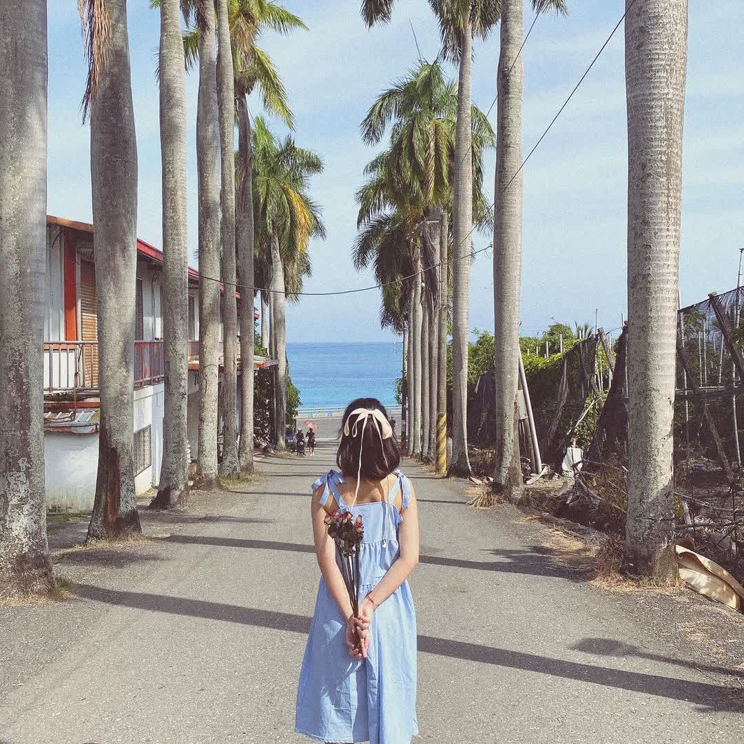 華源椰林大道 | 去趣 chicTrip
