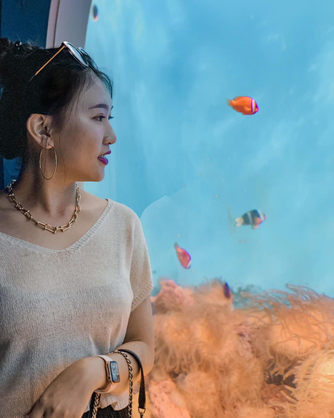 澎湖水族館 | 去趣 chicTrip