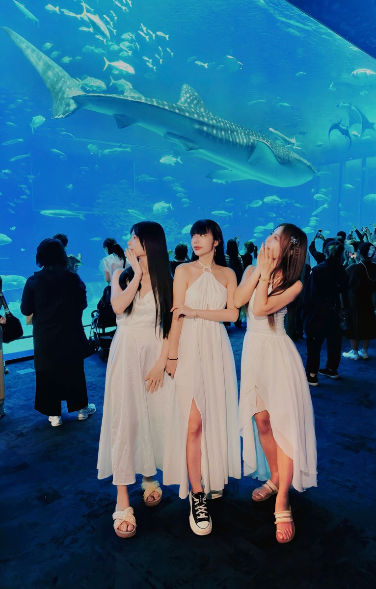 沖繩美麗海水族館 | 去趣 chicTrip