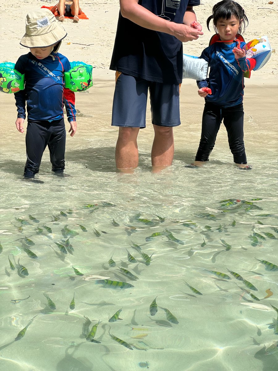 Krabi | 去趣 chicTrip