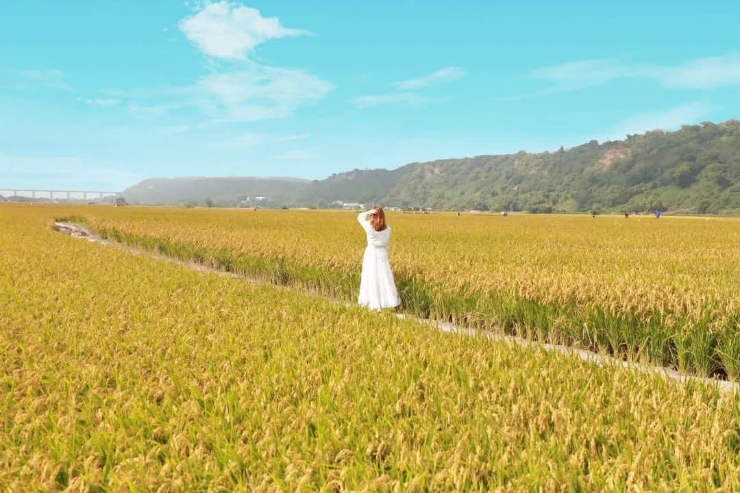外埔忘憂谷 | 去趣 chicTrip