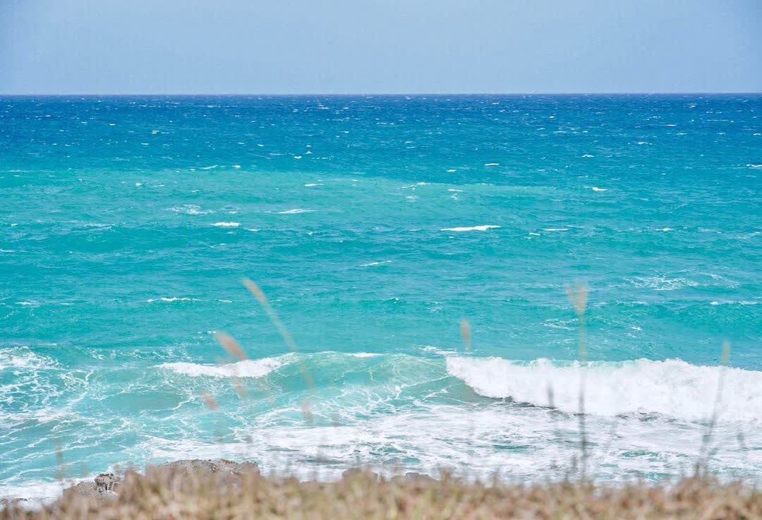 加路蘭遊憩區 | 去趣 chicTrip