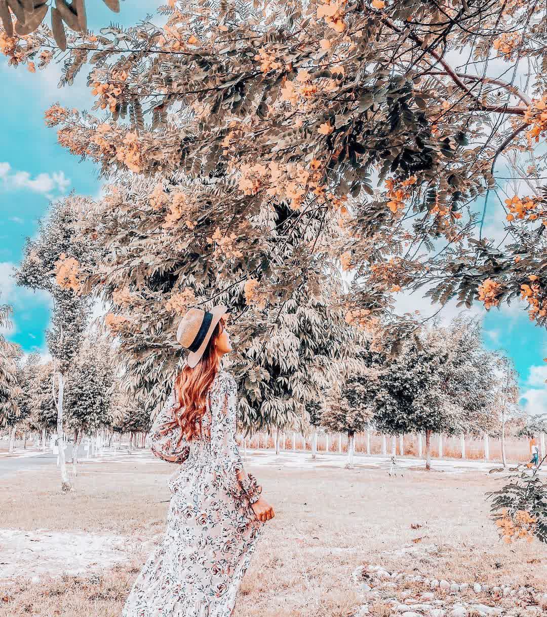 臺中中央公園 | 去趣 chicTrip