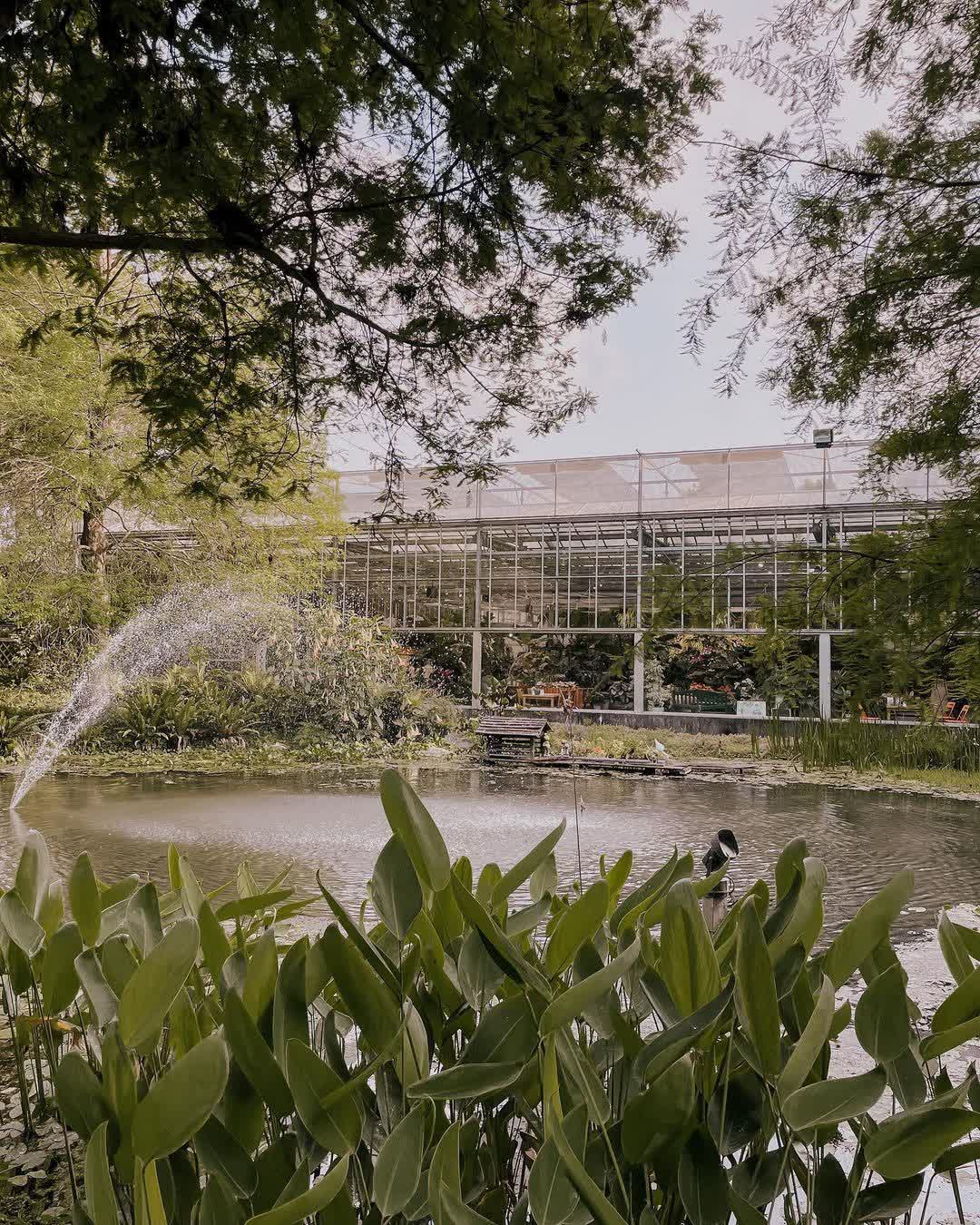 菁芳園 落羽松景觀餐廳 | 去趣 chicTrip