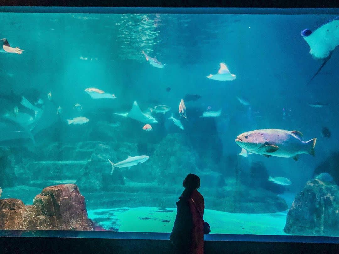 遠雄海洋公園 | 去趣 chicTrip